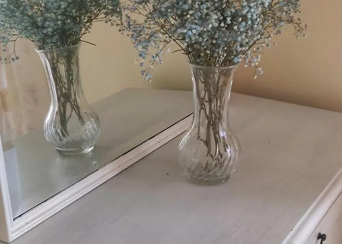 Casa Da Avo Isaura - אריסרייה